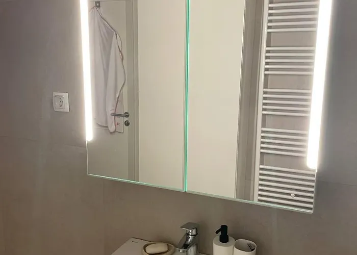 Apartament Modern With Garden Free Parking